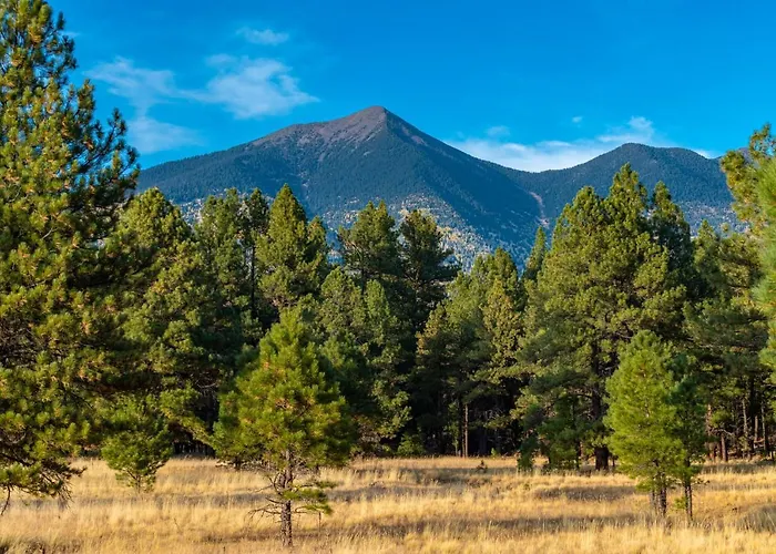 Mt. Elden Adventure