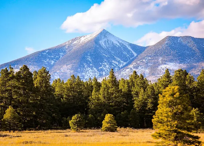 Mt. Elden Adventure